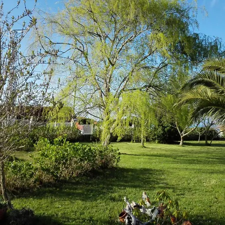 Vivienda Vacacional Betania * Novellana